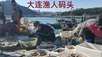 实拍大连的渔人码头，渔民下船就做交易，海鲜都是活的，内陆小伙第一次见