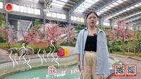 御龙温泉——只治愈，不内卷！