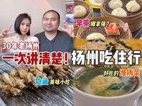 【旅行攻略】一次讲清楚 来扬州怎么逛👀看完比本地人还会玩！