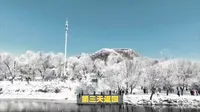 吉林雾凇岛冬季旅游攻略