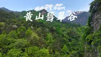 黄山翡翠谷