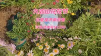 周末花一天时间，好好感受一下济南的春天，山野、花海、手作，尽是九如山的春日浪漫