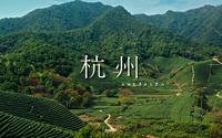 【4K】航拍杭州西湖龙井茶园