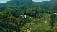 【4K】航拍杭州西湖龙井茶园