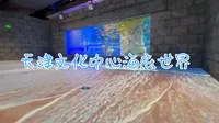 天津文化中心海底世界