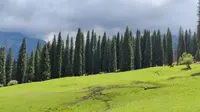 库尔德宁齐梦德观景台半路