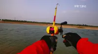 石家庄滹沱河野钓！鳡鱼重达60斤！路亚第一杆就中鲶鱼！荒野垂钓