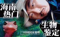 狐主任现场鉴定海南热带雨林里的特有物种！