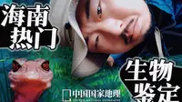 狐主任现场鉴定海南热带雨林里的特有物种！