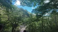 黄山游玩——梦笔生花