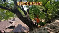 走进南龙布依古寨
