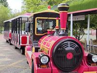 昌黎国际滑沙中心