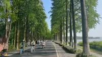 武汉东湖绿道骑行