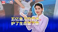 三农锐评丨 打破“单打独斗”，西于架村的“连片”振兴之路