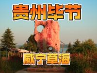 贵州毕节威宁草海，候鸟的天堂，号称贵州高原明珠，却鲜为人知