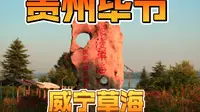 贵州毕节威宁草海，候鸟的天堂，号称贵州高原明珠，却鲜为人知