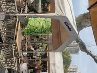 上海鲁迅公园随拍