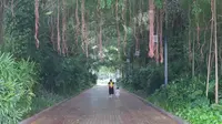 南宁打卡第三站→南湖公园