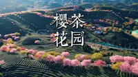 4K | 永福樱花茶园