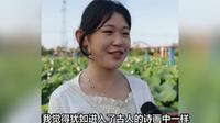 荷花竞相绽放，阜阳阜南地城镇枫柏岗景区美如画