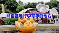 成都熊猫基地游玩攻略熊猫基地行李寄存的地方，成都旅游攻略，熊猫基地旅游攻略