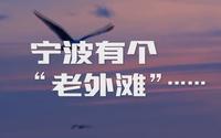 宁波有个“老外滩”