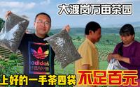 买到生态大树茶价格便宜超出想象 大渡岗万亩茶园结识茶农唐大哥