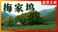 万里走单骑丨第3集《梅家坞》丨龙井的老家丨西湖龙井丨杭州丨梅家坞丨如皋丨海安丨乡村振兴丨美丽乡村丨浙江