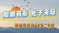 鲲鹏有形，化于天际！近日，成群候鸟在北京野鸭湖国家湿地公园上空集结翱翔，形成瞬息万变的“鸟浪”奇观。