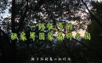 头铁徒步的张家界武陵源区，从十里画廊走到天子山