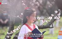 Qingbaijiangplus 客家杏花村视频