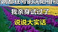 全网都在夸的沈阳植物园我亲身试过了说说大实话