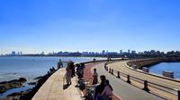 6.7月带娃来日照，这些冤枉钱别再花了   #日照旅游攻略 #日照攻略 #日照赶海 #日照美食 日照海水浴场 日照两日游 日照渔家乐 日照亲子游 日照自驾游 日