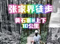 张家界国家森林公园徒步～黄石寨