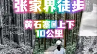 张家界国家森林公园徒步～黄石寨