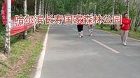 哈尔滨长寿国家森林公园