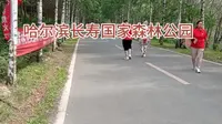 哈尔滨长寿国家森林公园