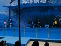 十堰市张湾区人民公园动物园园海狮表演1