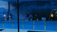 十堰市张湾区人民公园动物园园海狮表演1
