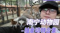成都飞广西，来看传说中的都是抽象的动物园了， 速通南宁动物园，原来除了丢那猩屎蒂芬，这里还有这么多同类，全是精华。