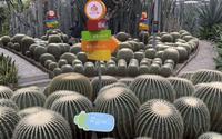 温室热带植物 宁波天宫庄园 周末好去处！推荐！