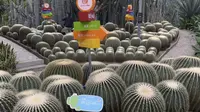 温室热带植物 宁波天宫庄园 周末好去处！推荐！