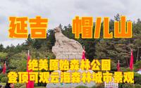 东北绝美原始森林公园，延吉帽儿山，登顶可观云海森林和城市景观