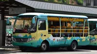 【乘坐观光车行走于刺激山路！】麻城龟峰山景区观光车（关口坳→北门游客中心） 全程前档展望