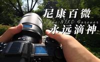 第一视角沉浸拍照 | 到国家植物园南园 试试尼康Z卡口百微拍花效果