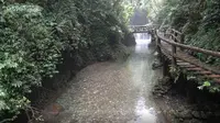 【天府之国】青城山-後山景区  下山 自然景拍 都江堰 成都 (四)