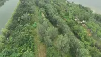 航拍山东滨州惠民县孙武古城(上)