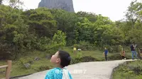 打卡广西岑溪天龙顶山地公园，感受大自然风光。