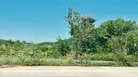 封开县贺江碧道画廊景区883乡道450县道至观鹤台前方展望