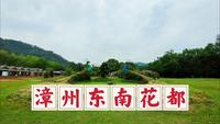 漫游漳州东南花都花博园，一座妙趣横生的植物天堂